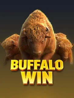 Buffalo Win - PG SOFT game example
